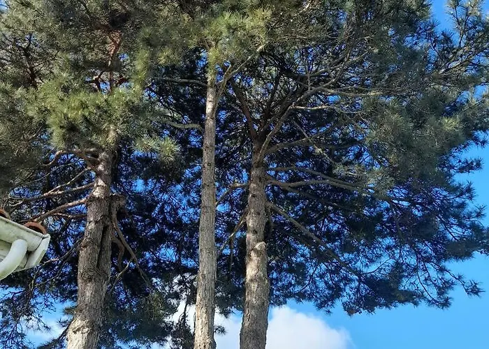 Le Stud\' à Saint Pierre d\'Oléron !