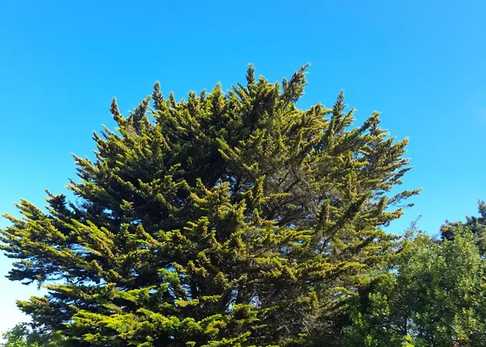 Le Stud\' A Saint Pierre D\'Oleron !